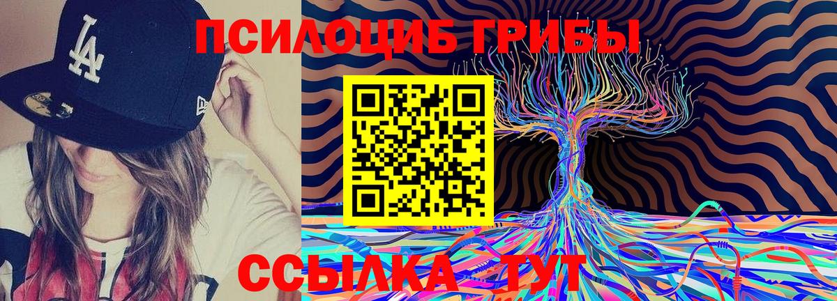 продажа наркотиков  Вход с VPN  Алапаевск  Галлюциногенные грибы ЛСД 