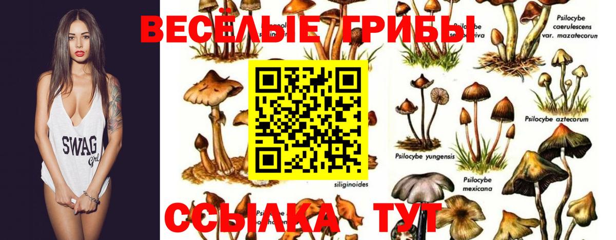 Псилоцибиновые грибы прущие грибы Алапаевск